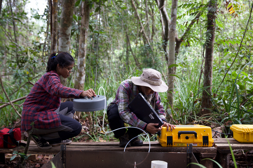 Peatland restoration and conservation in Indonesia